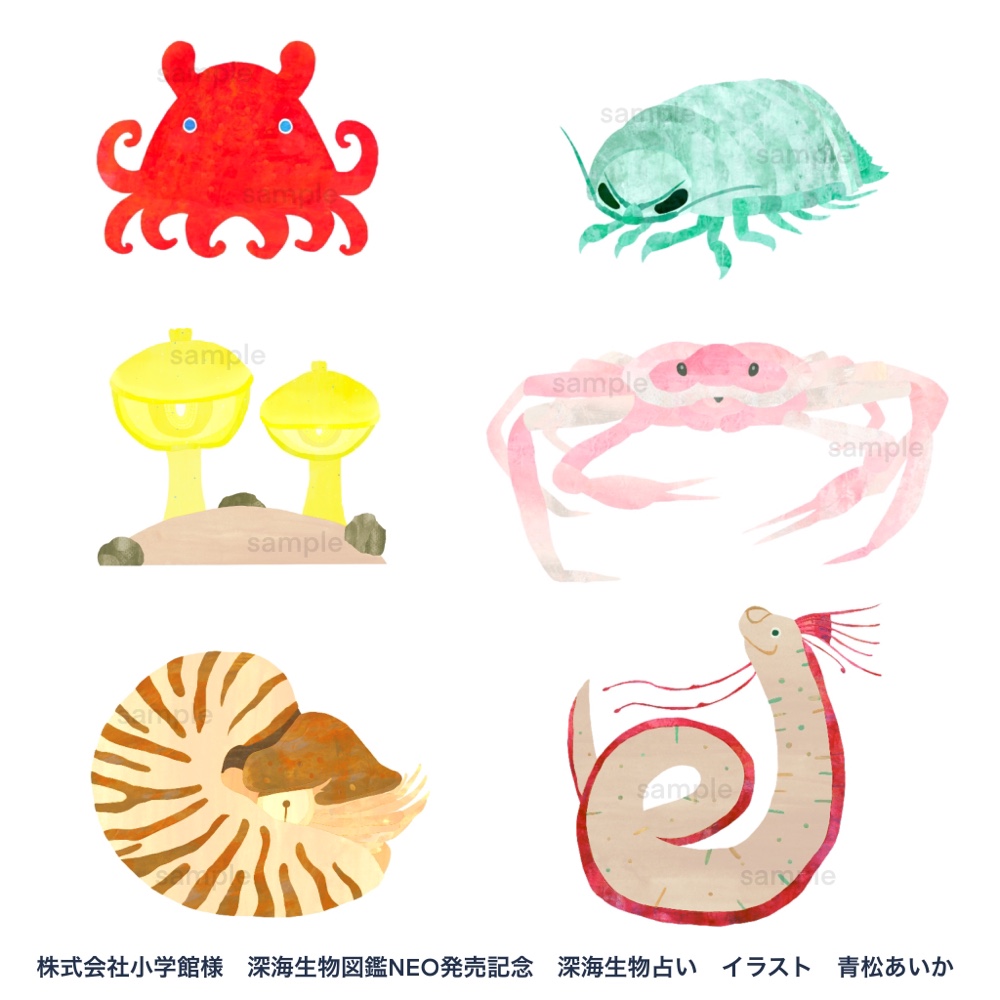 株式会社小学館様 深海生物占い12カットイラスト 日常を彩るイラストレーター 青松あいか